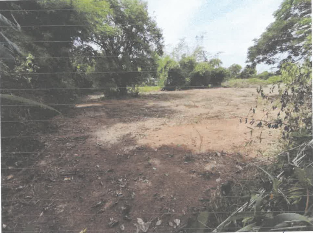 Residential land/lot Sakon Nakhon Phang Khon Phang Khon 603330