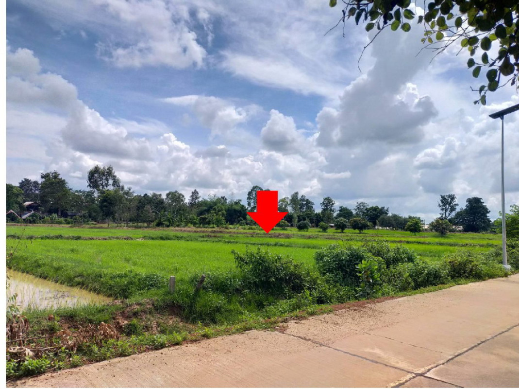 Residential land/lot Sakon Nakhon Phang Khon Ton Phueng 338000