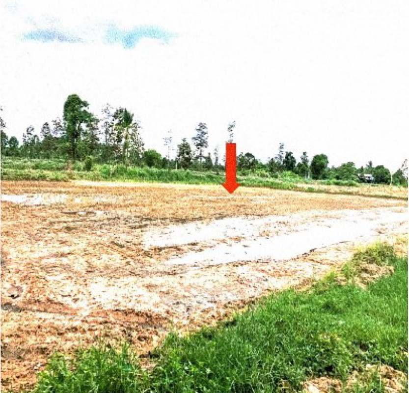 Residential land/lot Ubon Ratchathani Phibun Mangsahan Ban Khaem 19600