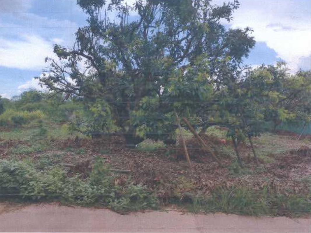 Residential land/lot Chiang Mai Mae Taeng Khi Lek 278000