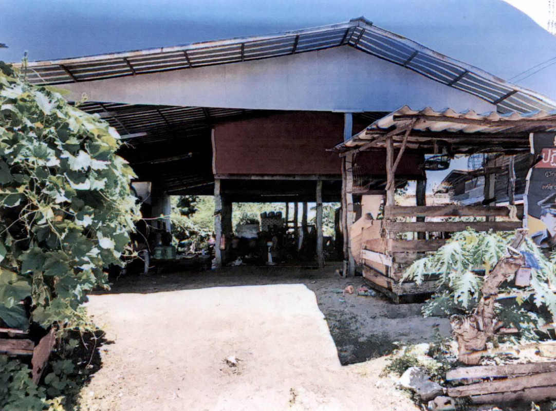 บ้านเดี่ยว สุรินทร์ ท่าตูม หนองบัว 434985