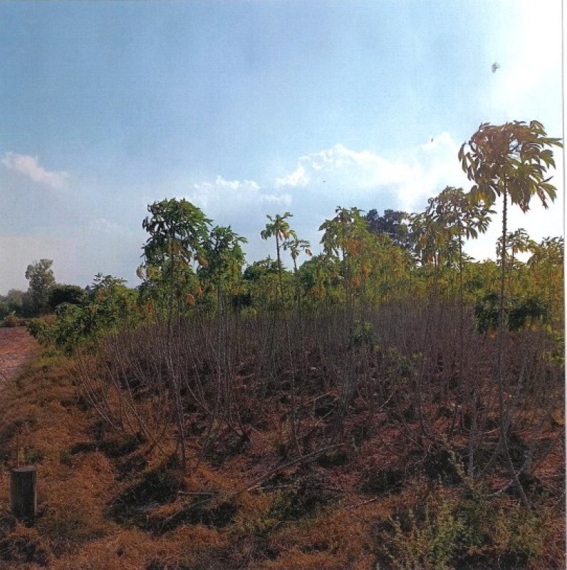 Residential land/lot Kalasin Nong Kung Si Nong Bua 860000