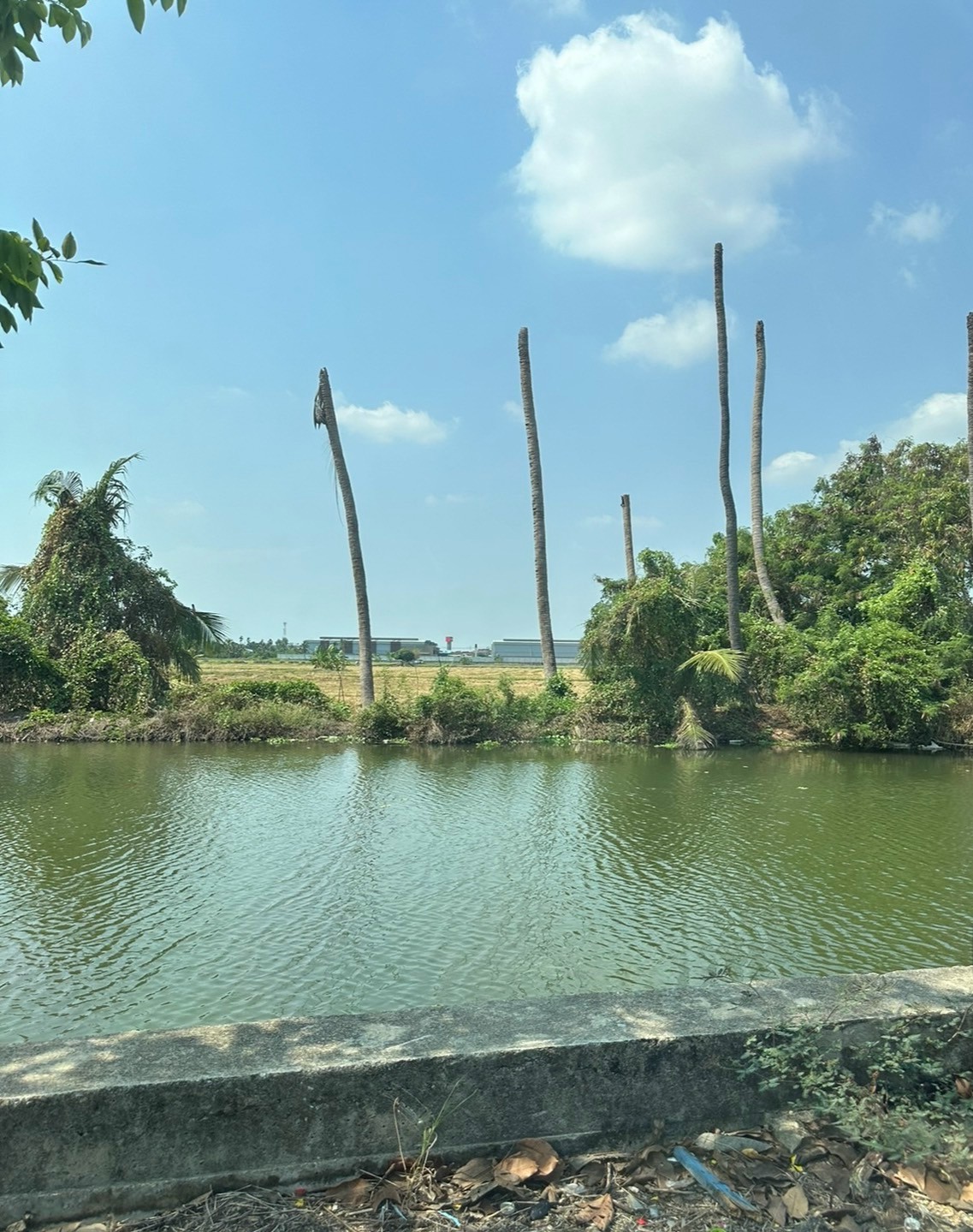 ที่ดินเปล่า นครปฐม สามพราน บางกระทึก 223000000