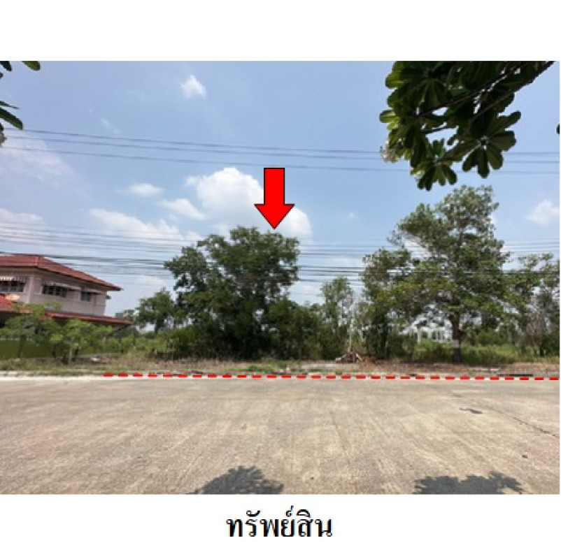 ที่ดินเปล่า เทพธารินทร์ ปทุมธานี ธัญบุรี บึงน้ำรักษ์ 1739200