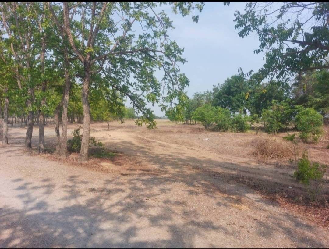 ที่ดินเปล่า สุพรรณบุรี เมืองสุพรรณบุรี สนามคลี 390000