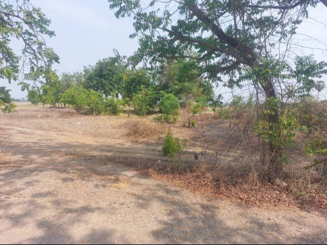 ที่ดินเปล่า สุพรรณบุรี เมืองสุพรรณบุรี สนามคลี 390000