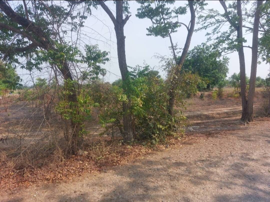ที่ดินเปล่า สุพรรณบุรี เมืองสุพรรณบุรี สนามคลี 390000