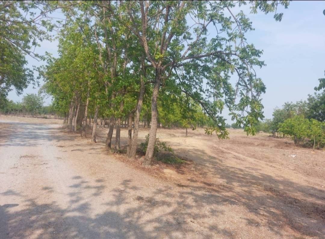 ที่ดินเปล่า สุพรรณบุรี เมืองสุพรรณบุรี สนามคลี 390000