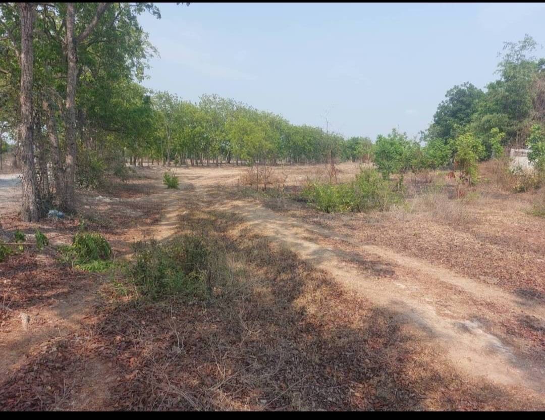 ที่ดินเปล่า สุพรรณบุรี เมืองสุพรรณบุรี สนามคลี 390000