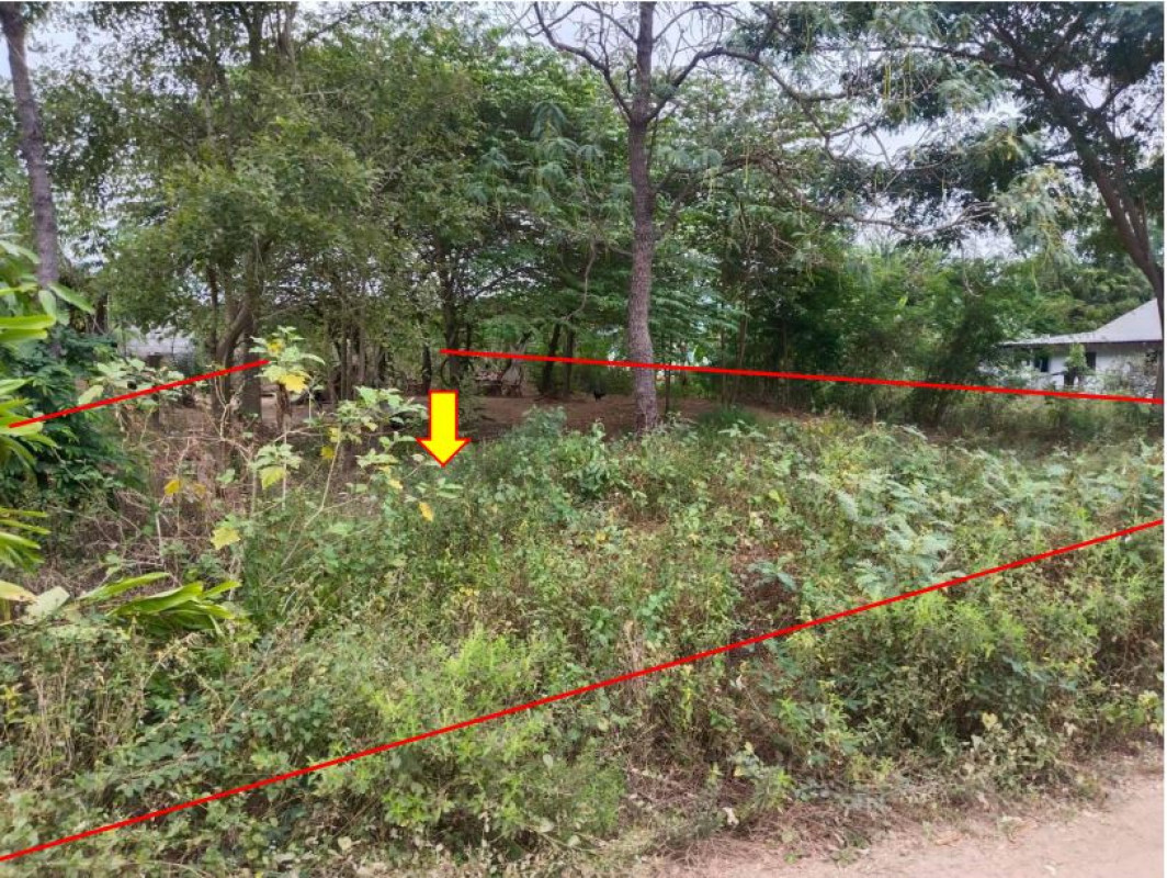 ที่ดินเปล่า อุดรธานี โนนสะอาด โพธิ์ศรีสำราญ 136800