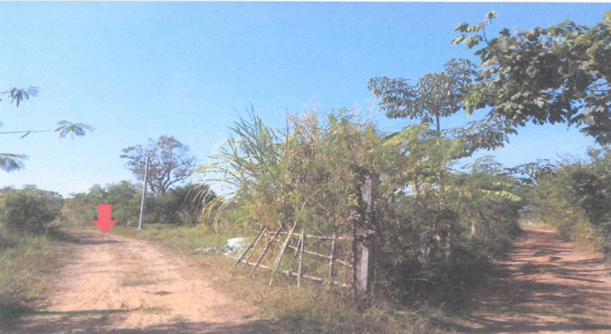 ที่ดินเปล่า อุดรธานี เมืองอุดรธานี นาดี 1650600