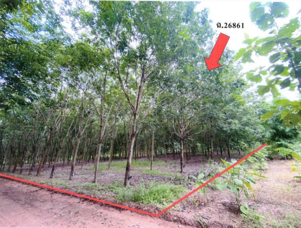 ที่ดินเปล่า อุดรธานี กุดจับ ขอนยูง 1519220