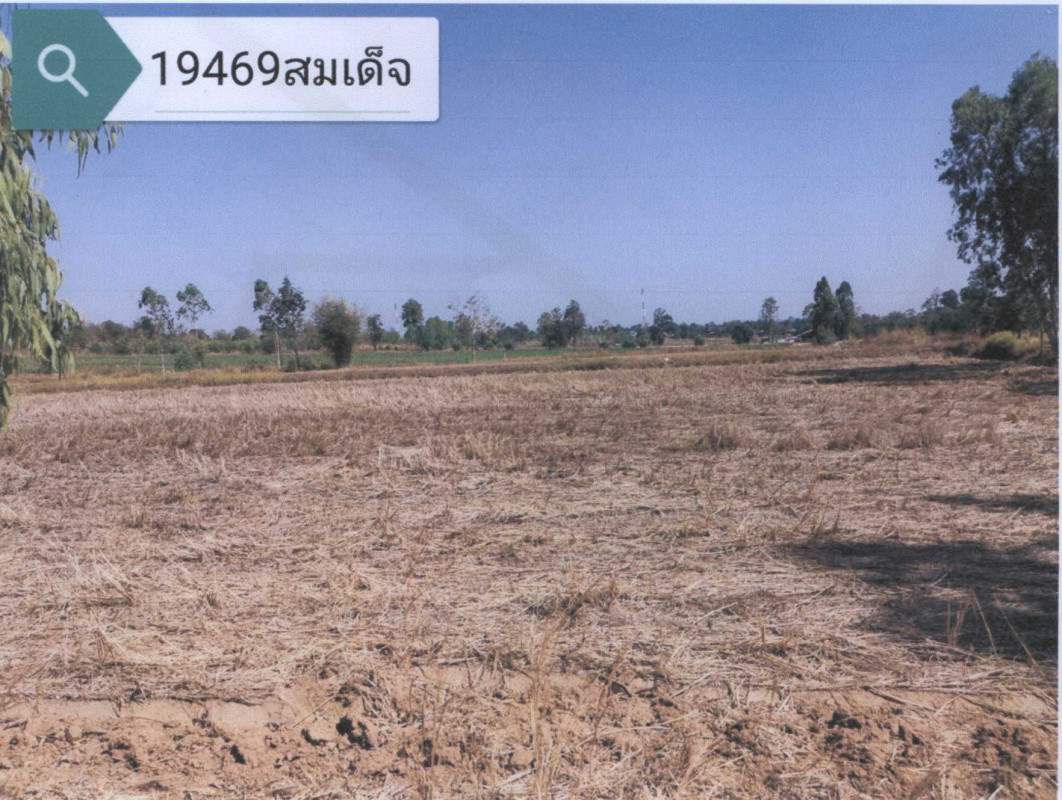 ที่ดินเปล่า กาฬสินธุ์ สมเด็จ หนองแวง 723150