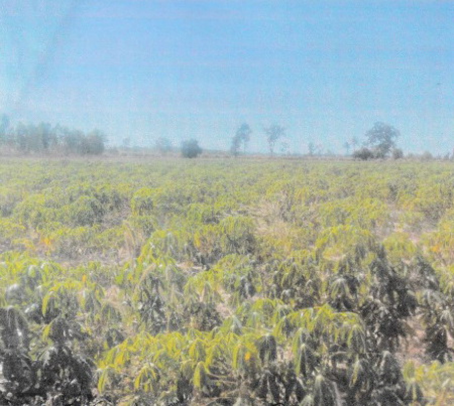 Residential land/lot Kalasin Sam Chai Samran 593400
