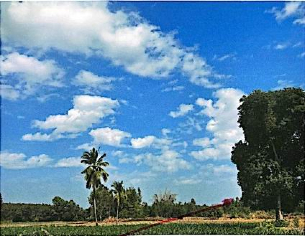 Residential land/lot Kalasin Kuchinarai Nakham 312900