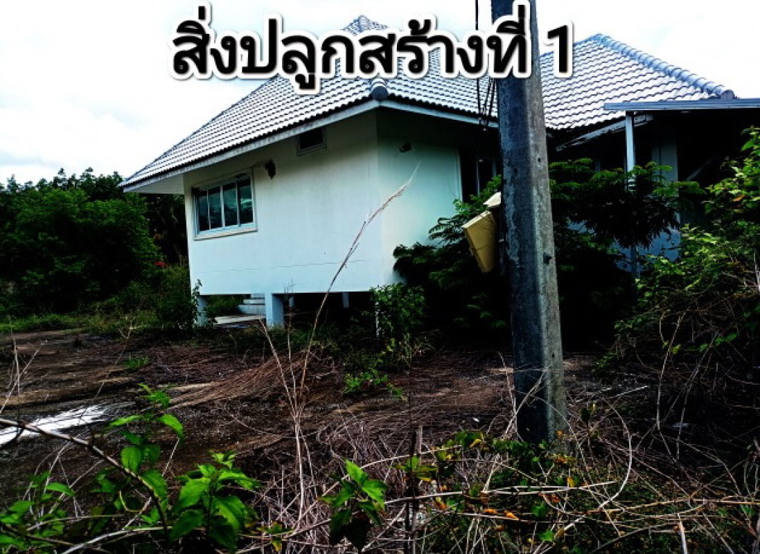 บ้านเดี่ยว กาฬสินธุ์ นามน ยอดแกง 7030000