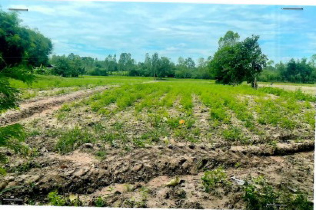 Residential land/lot Kalasin Kuchinarai Kut Khao 1951200