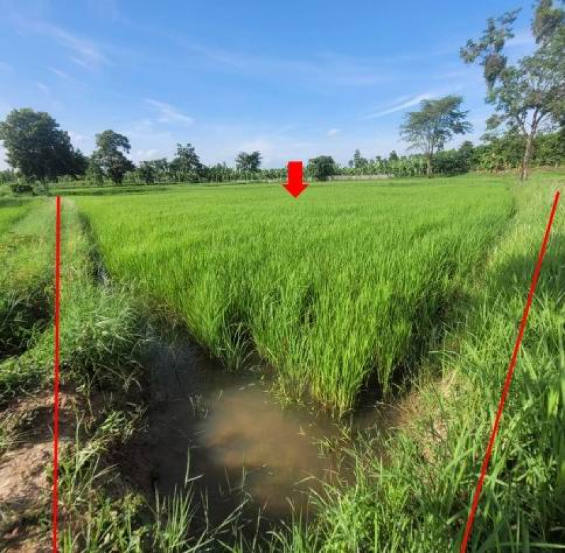 Residential land/lot Kalasin Don Chan Don Chan 349000