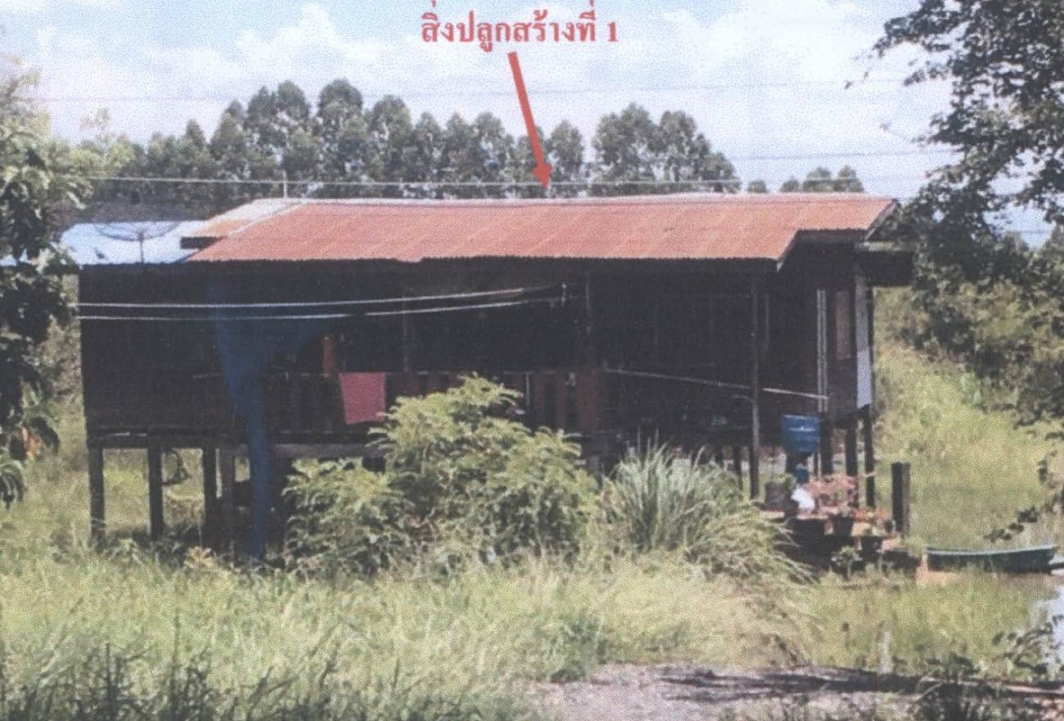 บ้านเดี่ยว พิจิตร ตะพานหิน งิ้วราย 155295
