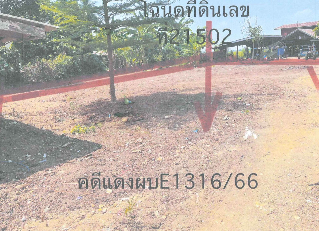 ที่ดินเปล่า ชัยนาท มโนรมย์ วัดโคก 171080