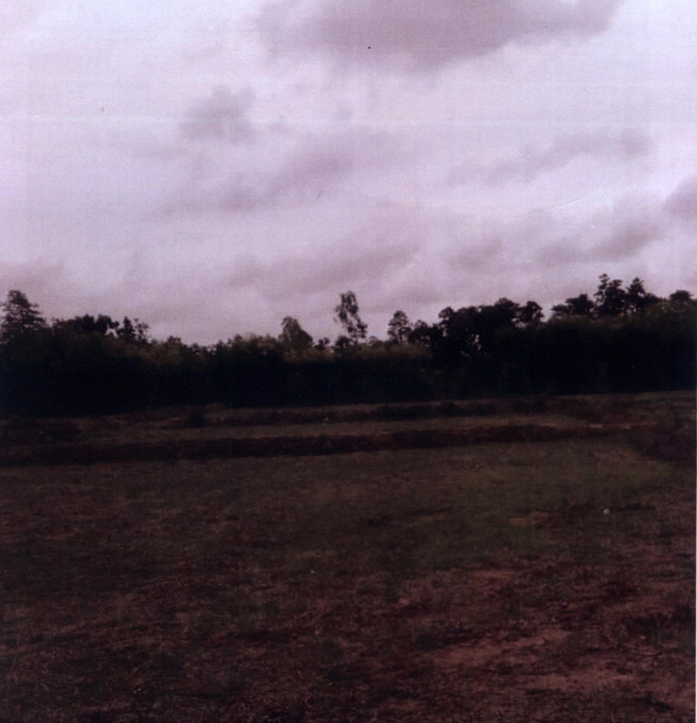 Residential land/lot Surin Tha Tum Nong Methi 42750