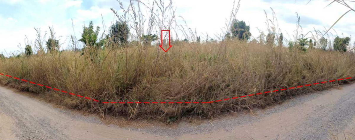 ที่ดินเปล่า หนองบัวลำภู เมืองหนองบัวลำภู โพธิ์ชัย 140000