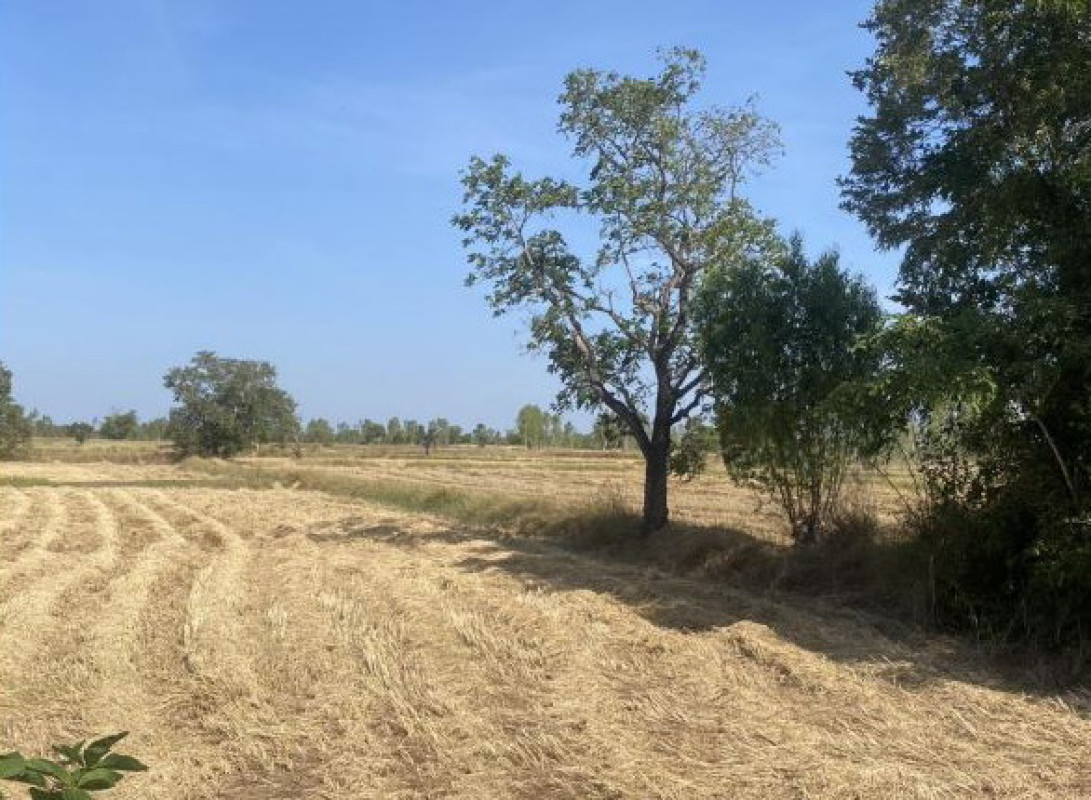 Residential land/lot Maha Sarakham Kosum Phisai Phon Ngam 1031750