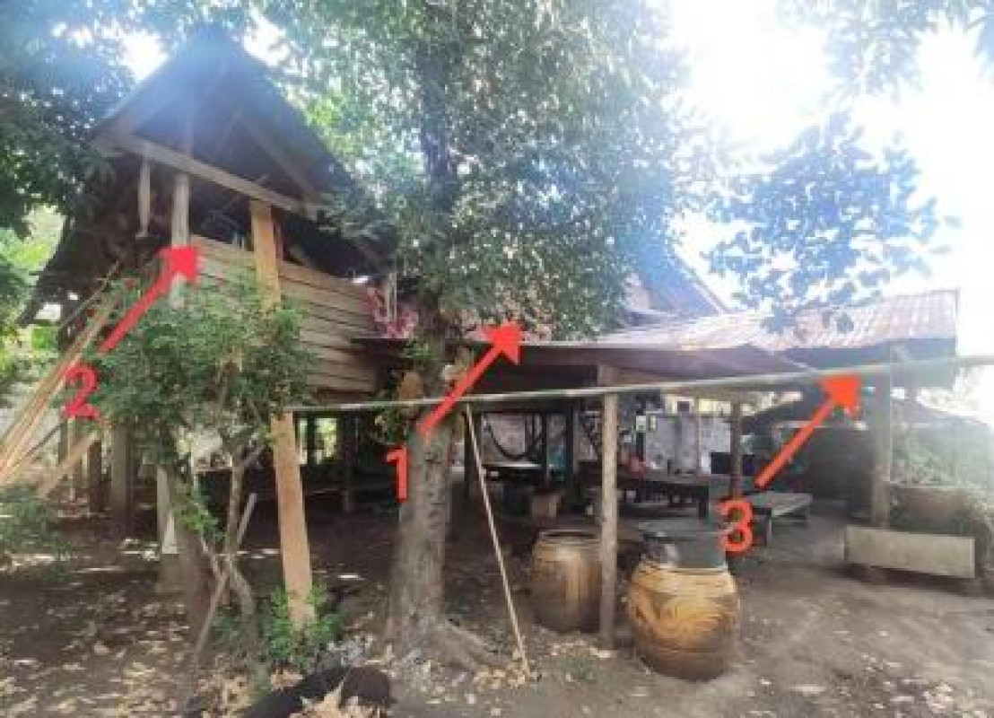บ้านเดี่ยว เพชรบูรณ์ ชนแดน บ้านกล้วย 246851