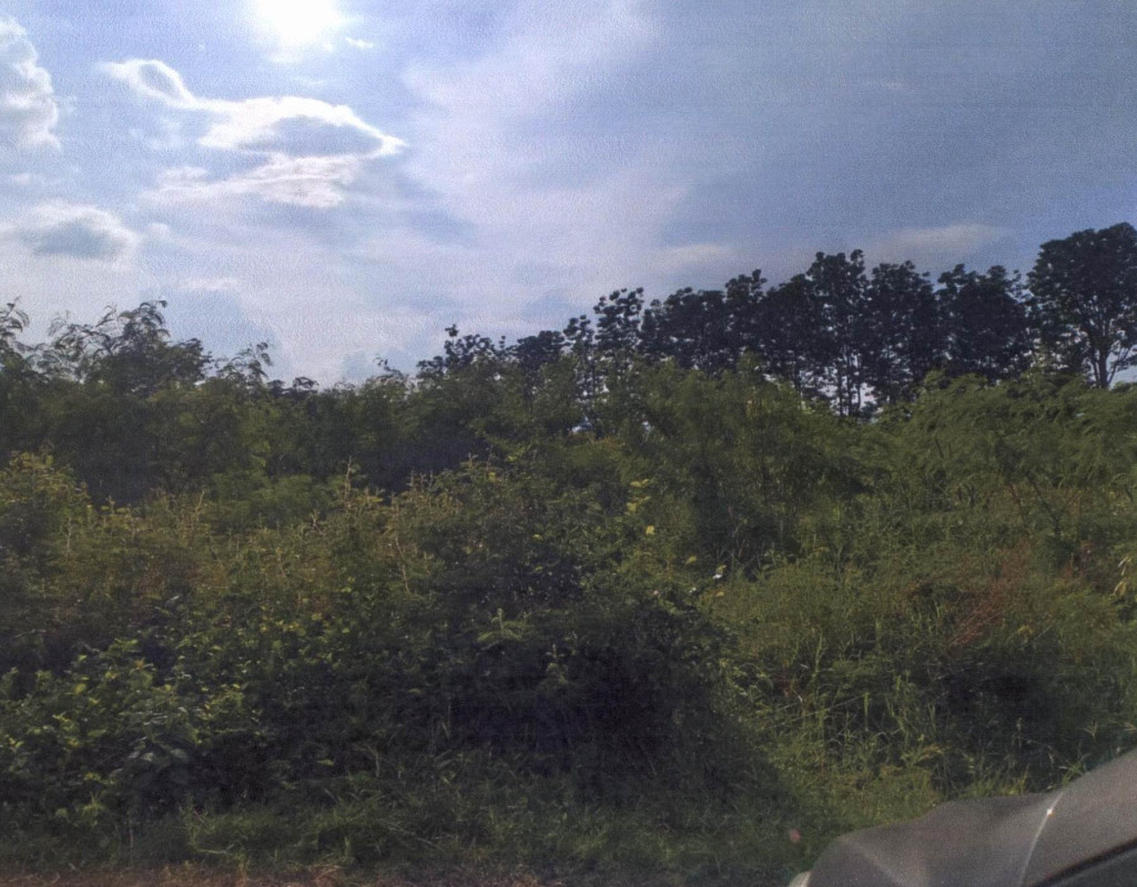 Residential land/lot Phetchabun Mueang Phetchabun Na Ngua 326900