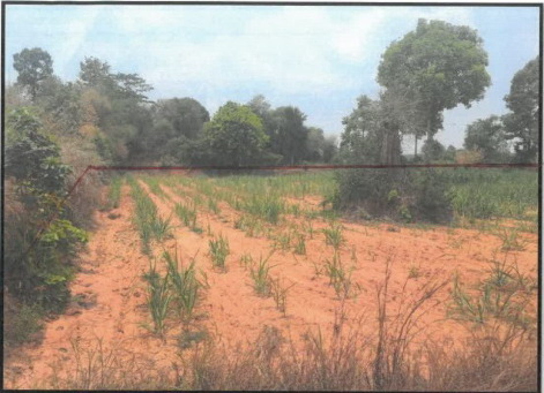 Residential land/lot Kalasin Kuchinarai Bua Khao 360000