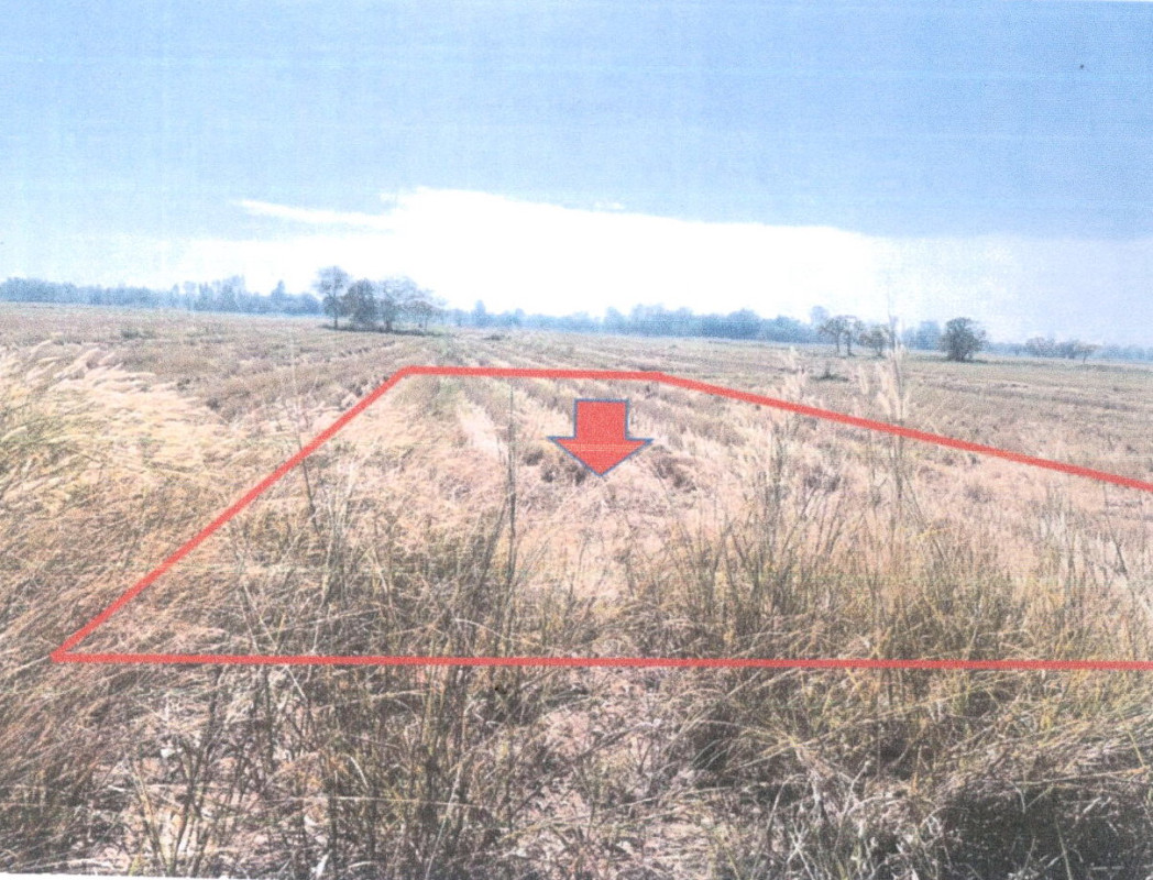 Residential land/lot Kalasin Kamalasai Thanya 48000