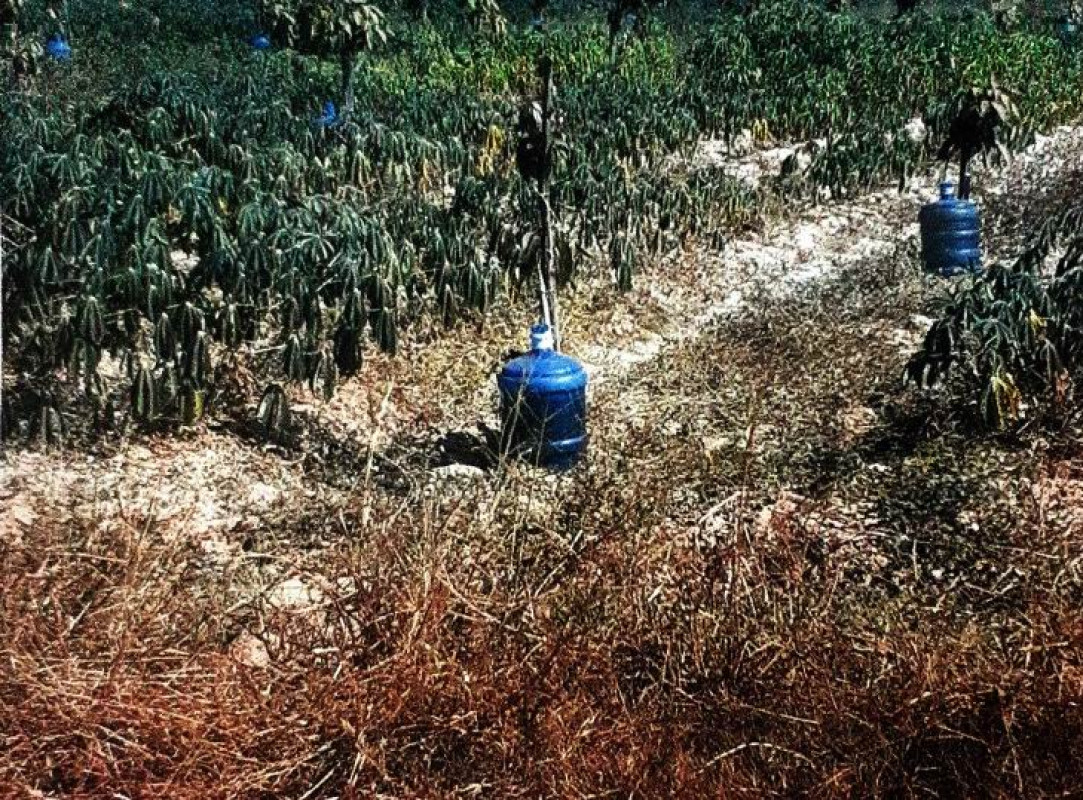 Residential land/lot Kalasin Nong Kung Si Sao Lao 606000