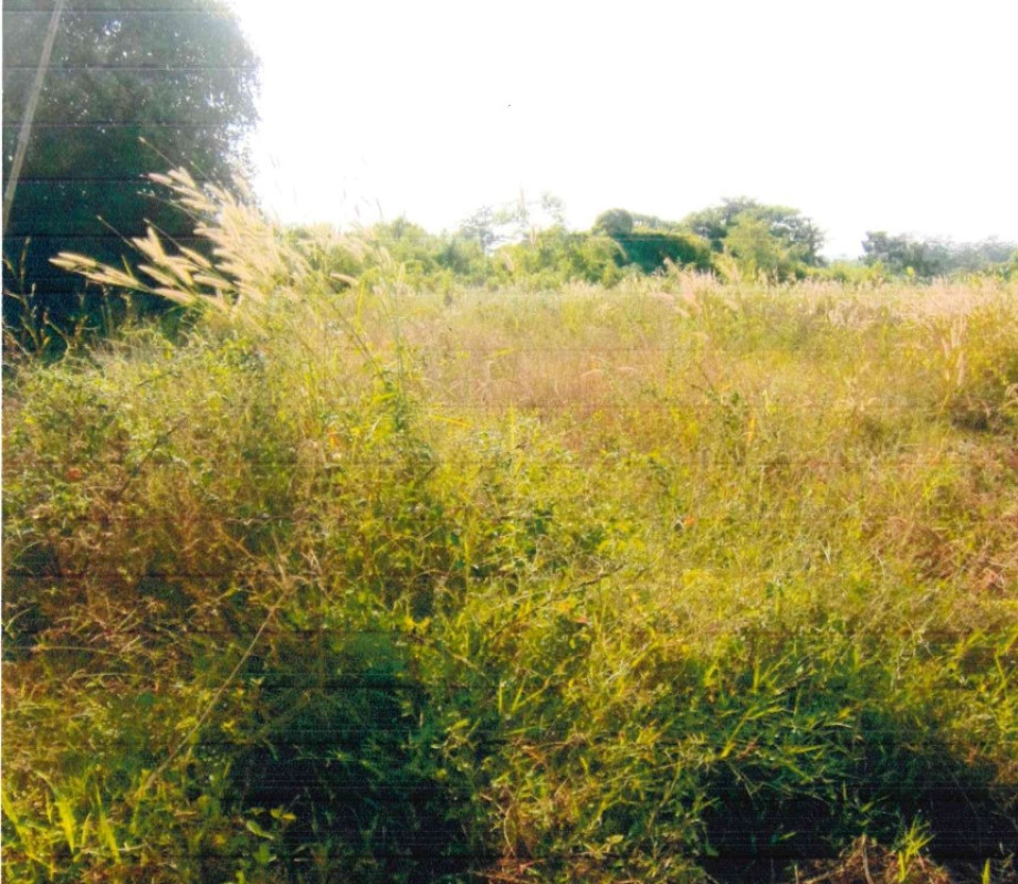 Residential land/lot Sukhothai Sri Satchanalai Sarachit 1192400