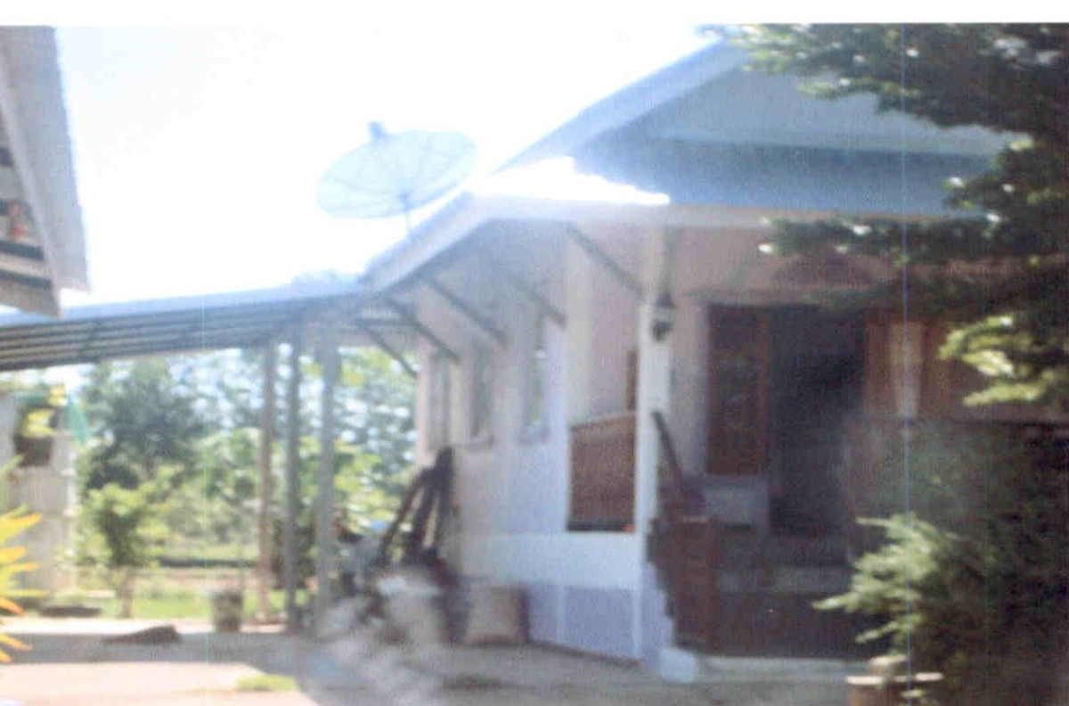 บ้านเดี่ยว สุโขทัย ศรีนคร ศรีนคร 1537200