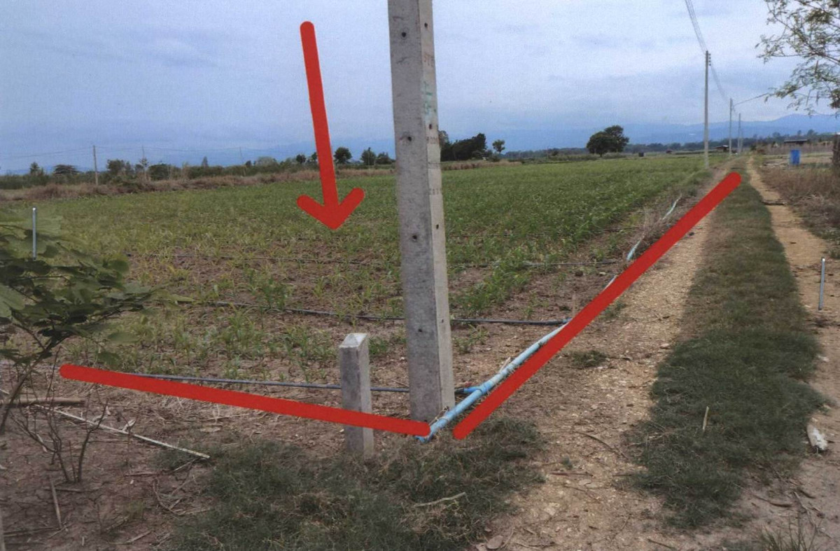 Residential land/lot Phetchabun Mueang Phetchabun Dong Mun Lek 300000