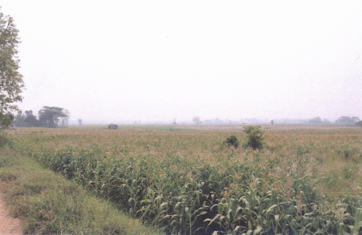 Residential land/lot Phrae Mueang Phrae Thung Hong 99000