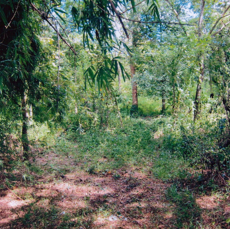 Residential land/lot Uttaradit Tha Pla Nam Man 14100