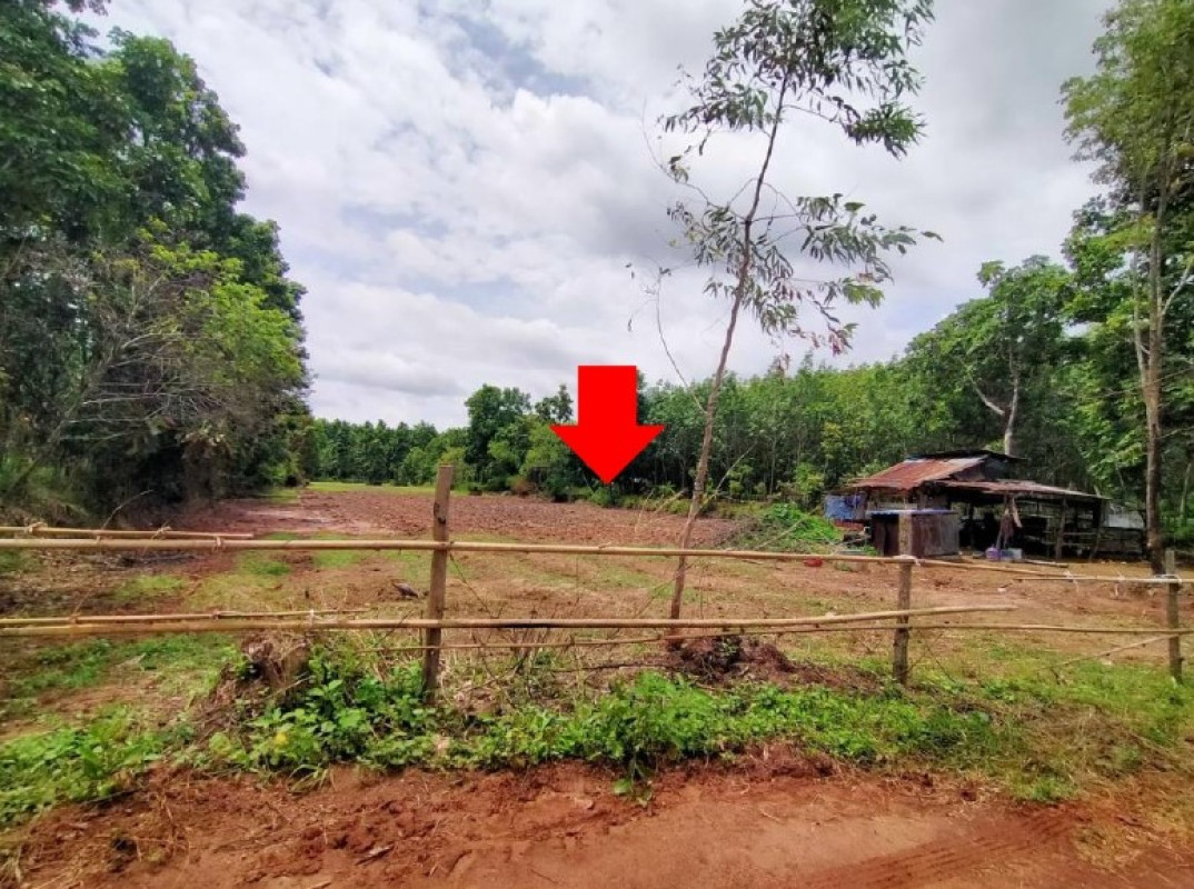 Single house Sakon Nakhon Phanna Nikhom Chang Ming 307846