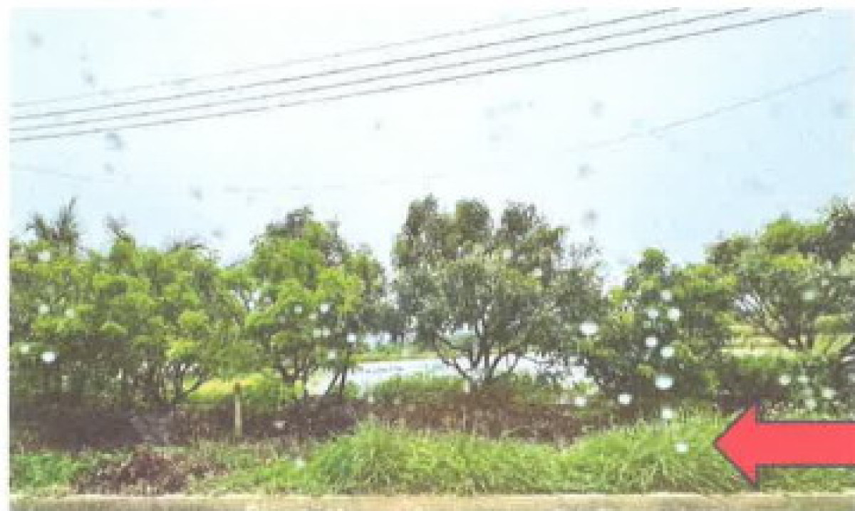 บ้านเดี่ยว เชียงราย เทิง เวียง 1148000