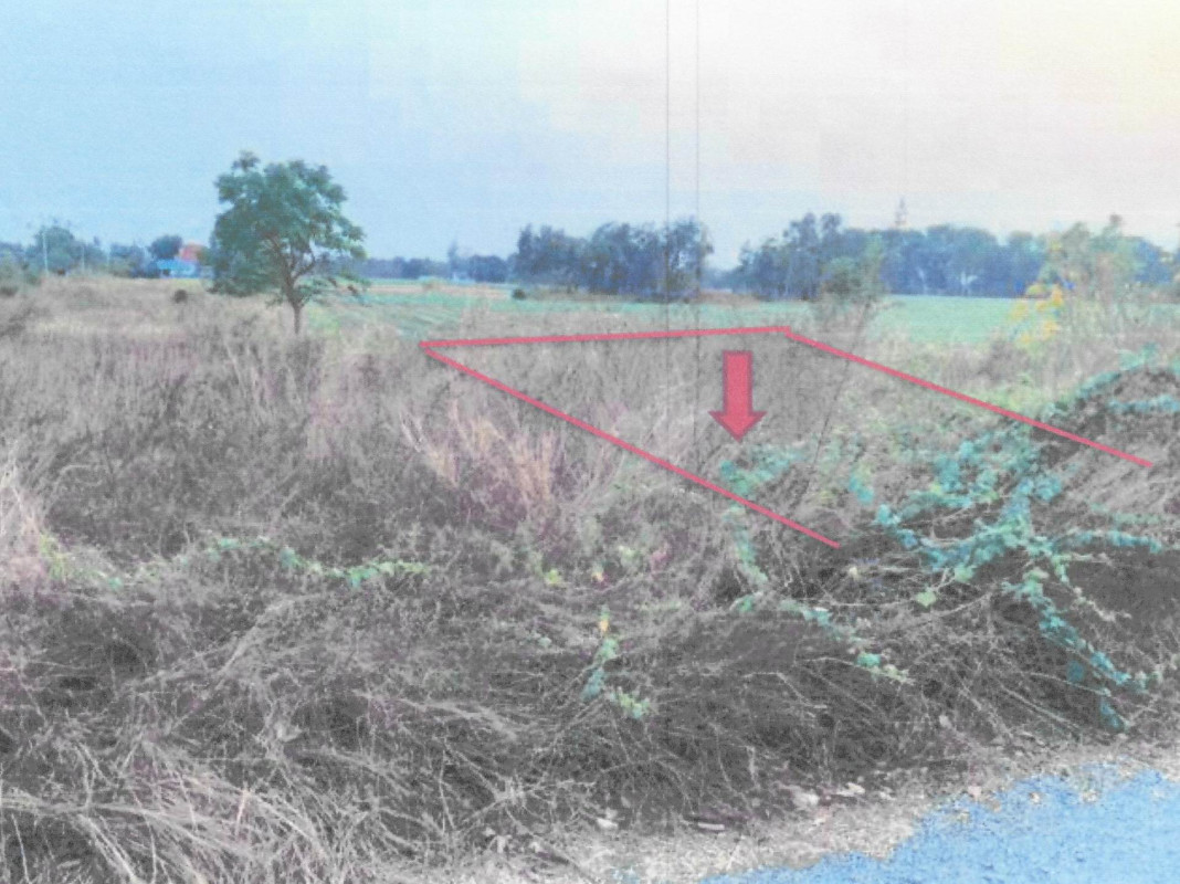 Residential land/lot Chai Nat Noen Kham Noen Kham 64000