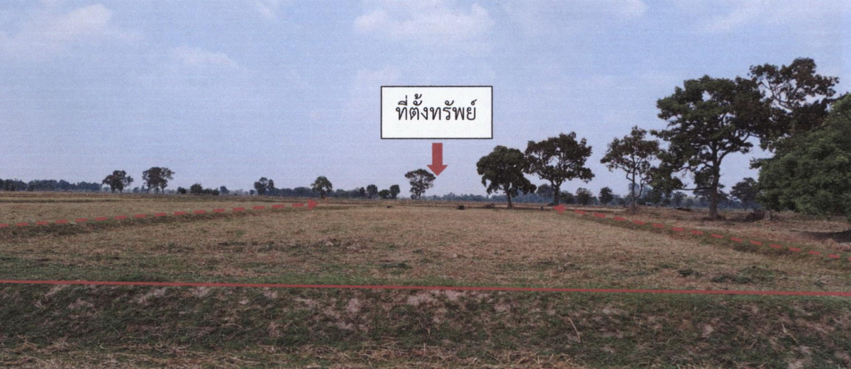 ที่ดินเปล่า สุรินทร์ รัตนบุรี ไผ่ 153800