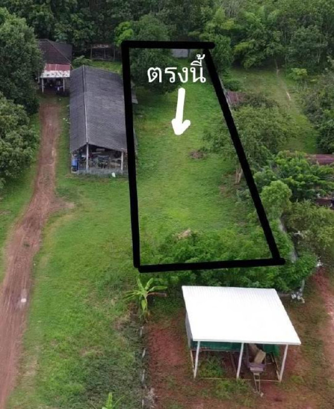 ที่ดินเปล่า ศรีสะเกษ กันทรลักษ์ หนองหญ้าลาด 1568028