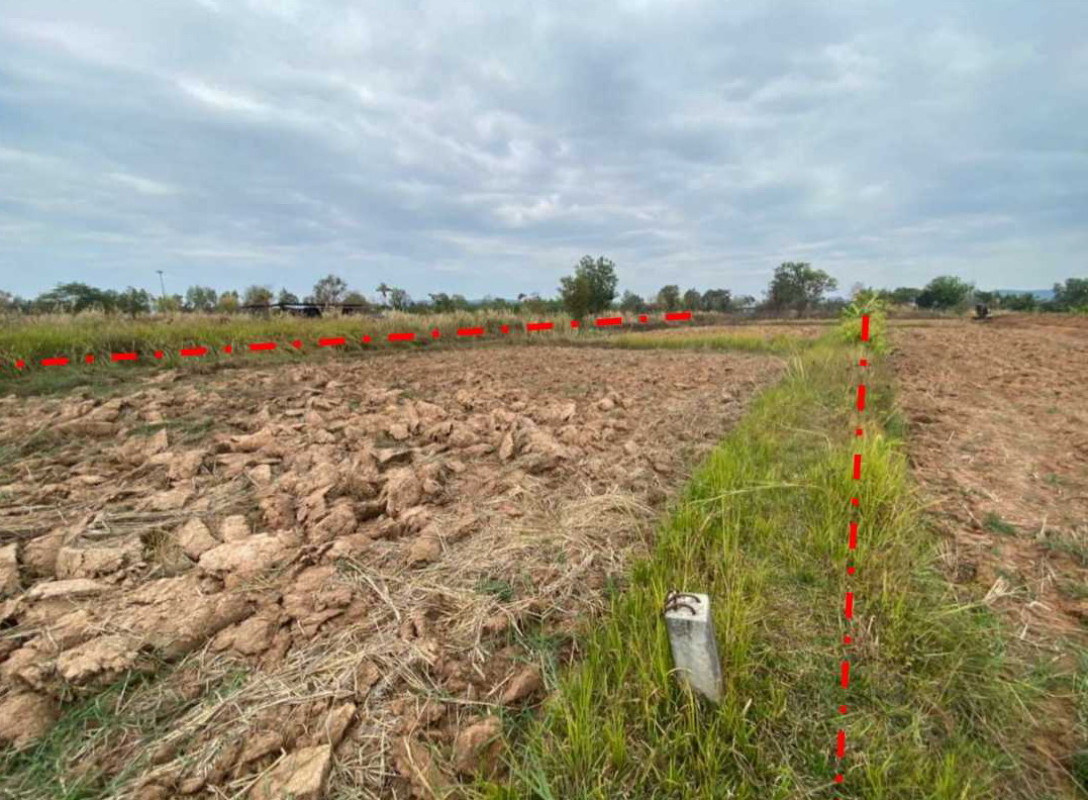 ที่ดินเปล่า หนองบัวลำภู เมืองหนองบัวลำภู โพธิ์ชัย 120000