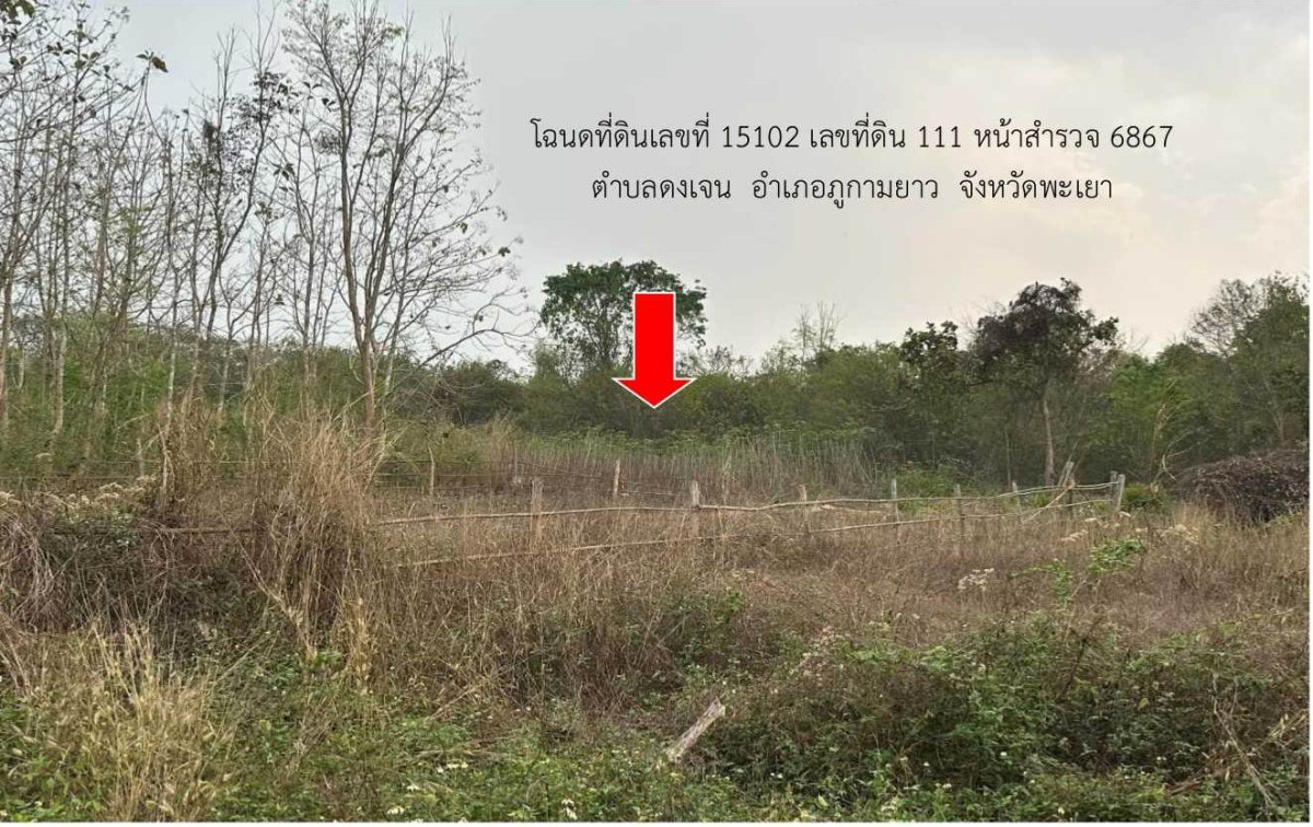 ที่ดินเปล่า พะเยา ภูกามยาว ดงเจน 70000