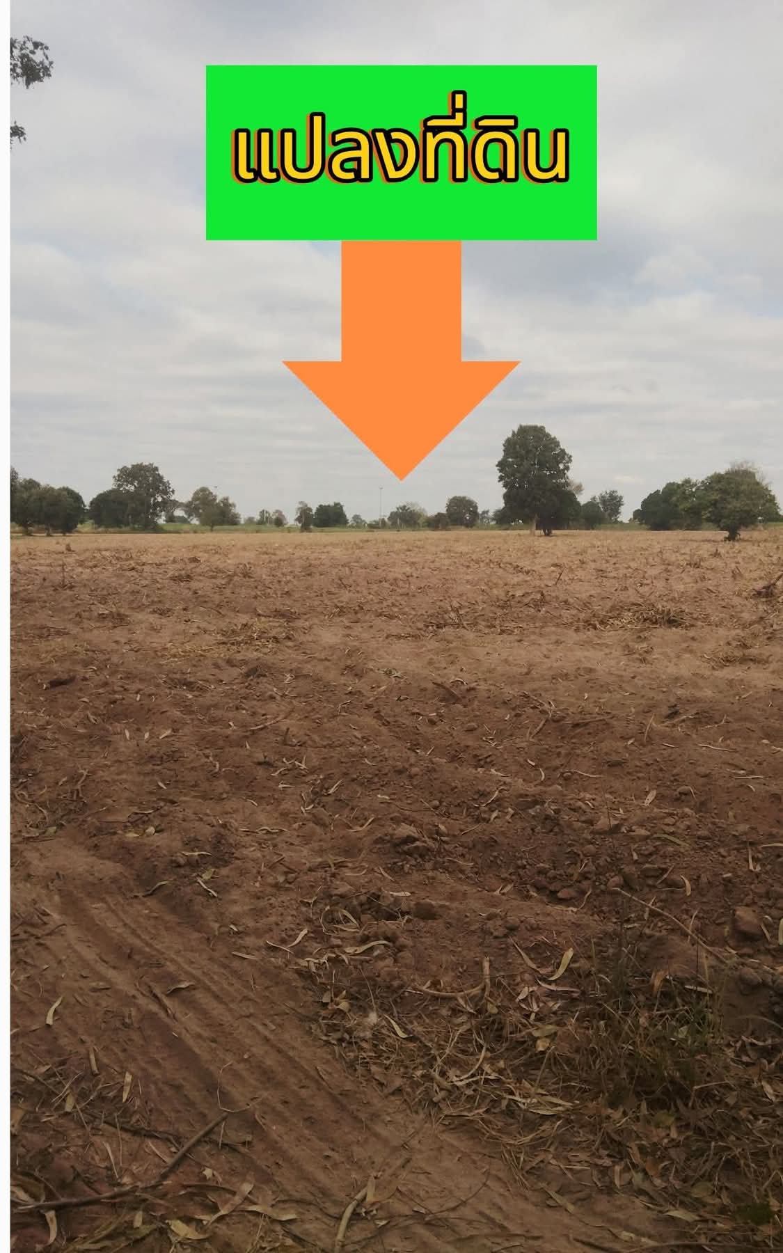 Residential land/lot Nakhon Ratchasima Mueang Nakhon Ratchasima Si Mum 3763500