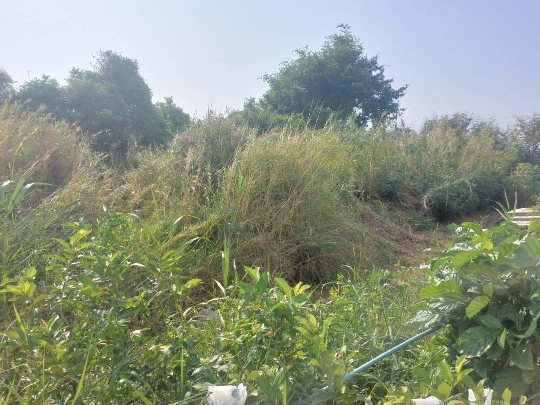 Residential land/lot Samut Prakan Bang Sao Thong Bang Sao Thong 1990000