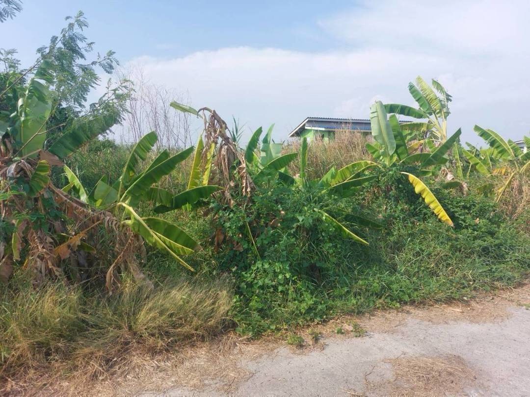 Residential land/lot Samut Prakan Bang Sao Thong Bang Sao Thong 1990000