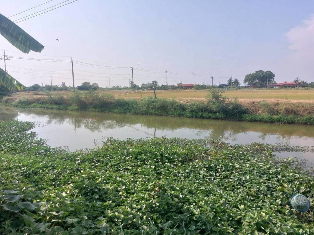 Residential land/lot Samut Prakan Bang Sao Thong Bang Sao Thong 1990000