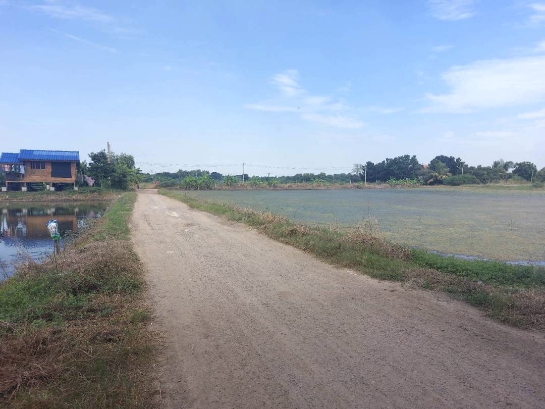 ที่ดินเปล่า นครปฐม พุทธมณฑล คลองโยง 1990000