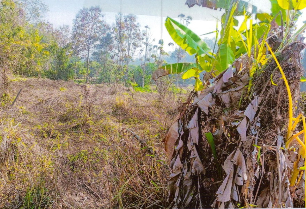 Residential land/lot Phayao Mueang Phayao Mae Ka 918000